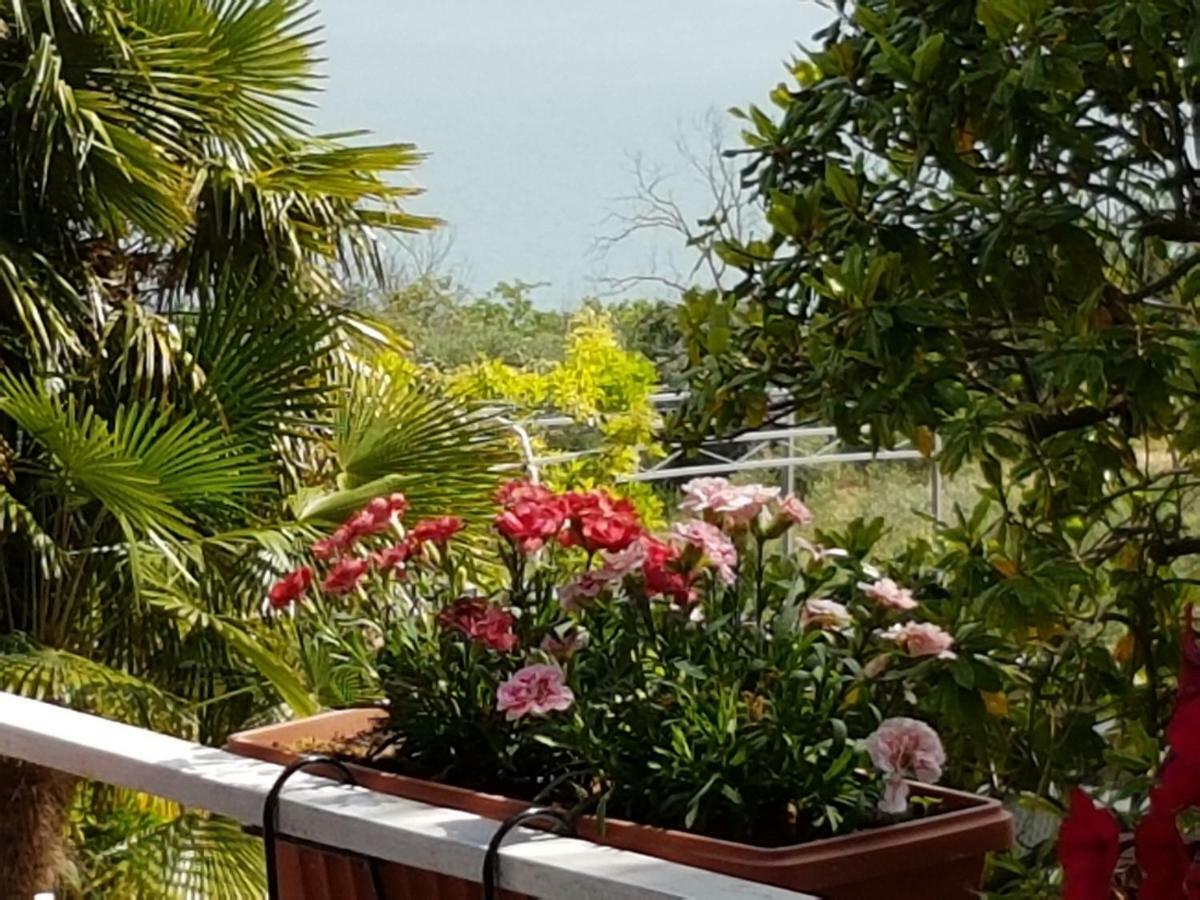 Guest house Antica Casa Di Famiglia Castiglione del Lago